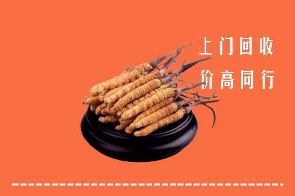 高价求购：抚州乐安回收散虫草