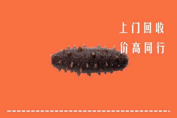 高价求购：抚州乐安回收海参