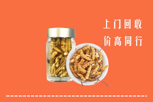 抚州乐安回收冬虫夏草